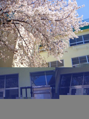 幼稚園 小学校ママ パパの学校用の携帯スリッパをまとめてみた